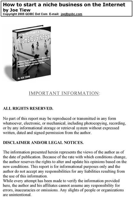 Product picture How to start a Niche